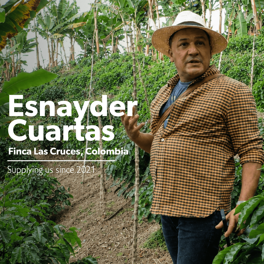 Colombia Finca Las Cruces | Chimney Fire Coffee