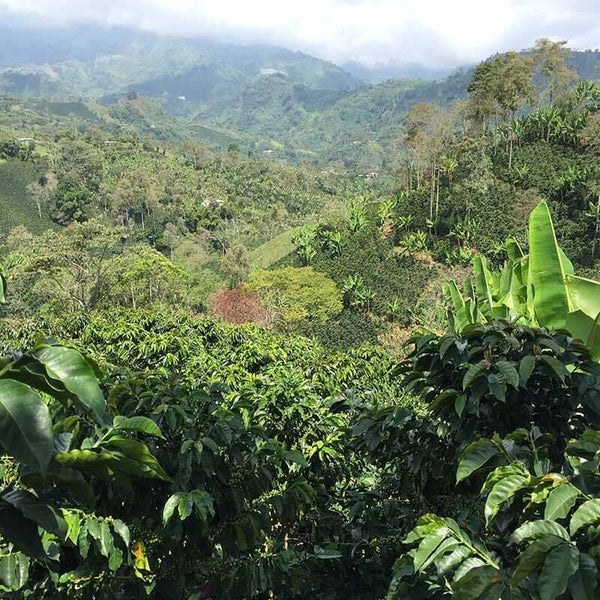 SEPTEMBER DISCOVERY COFFEE