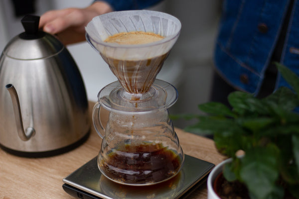 V60 Pour Over 2 Cup