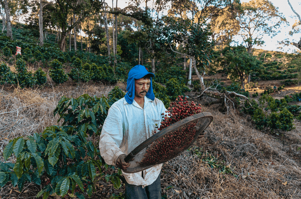 August 2025 Discovery Coffee