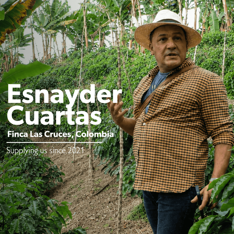 Colombia Finca Las Cruces | Chimney Fire Coffee