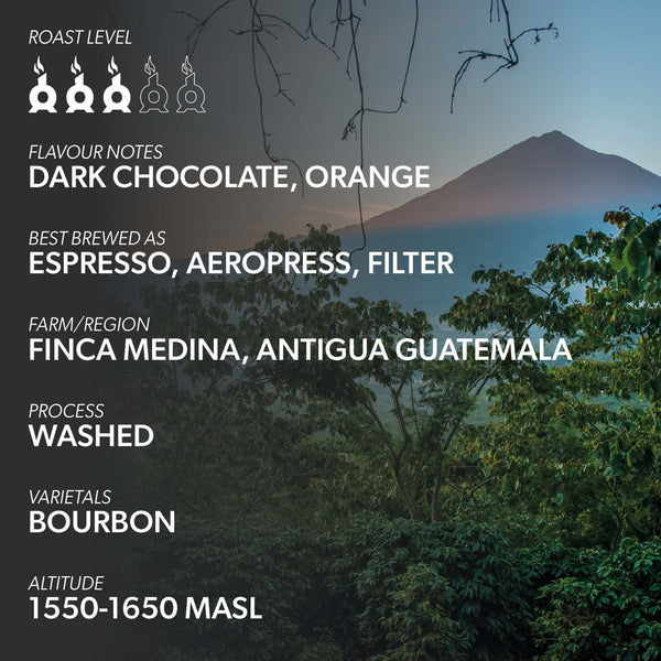 GUATEMALA FINCA MEDINA Coffee Chimney Fire Coffee 