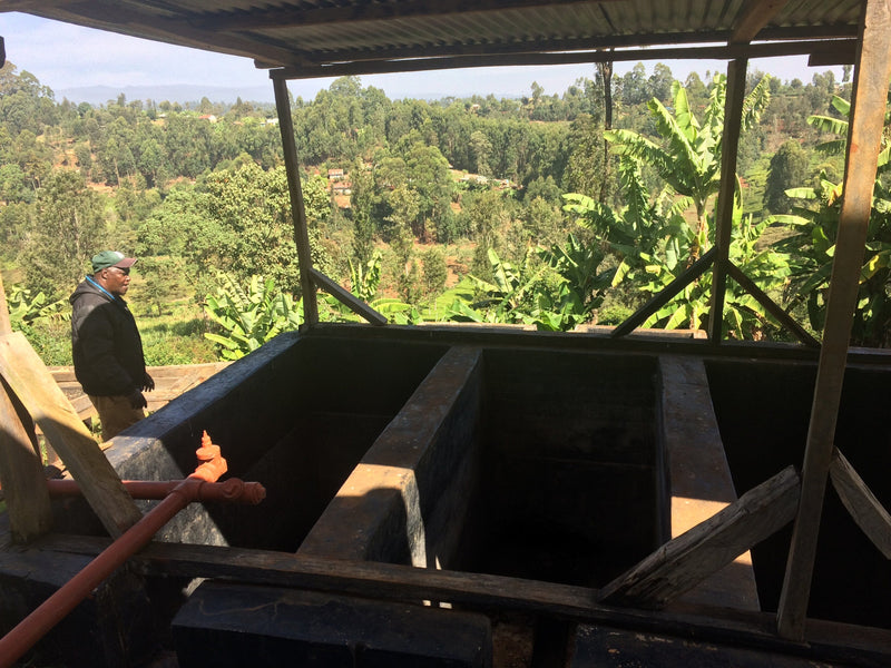 KENYA NGOE AB Coffee Chimney Fire Coffee 