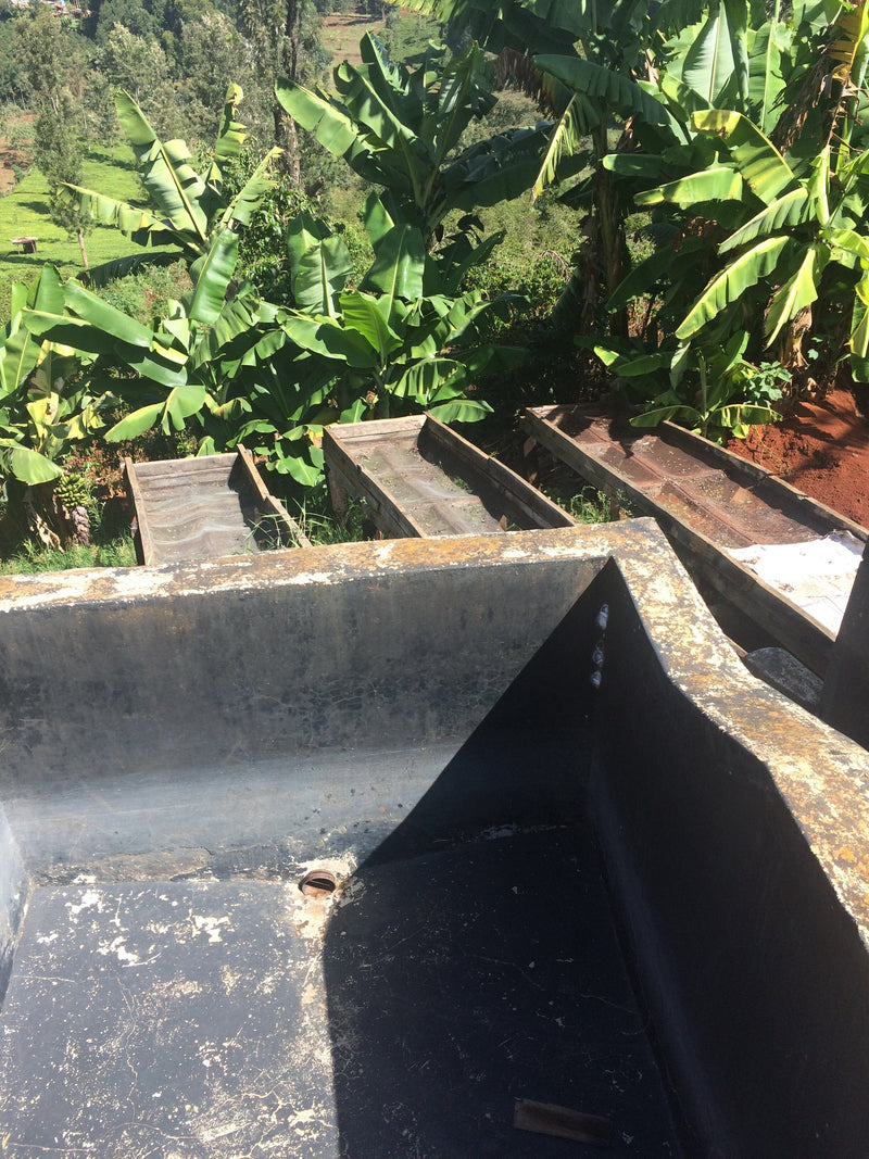 KENYA NGOE AB Coffee Chimney Fire Coffee 