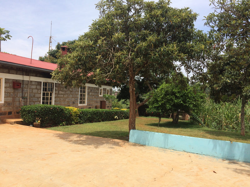 KENYA NGOE AB Coffee Chimney Fire Coffee 