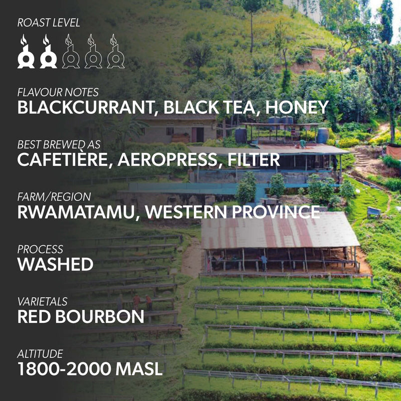 RWANDA RWAMATAMU Coffee Chimney Fire Coffee 