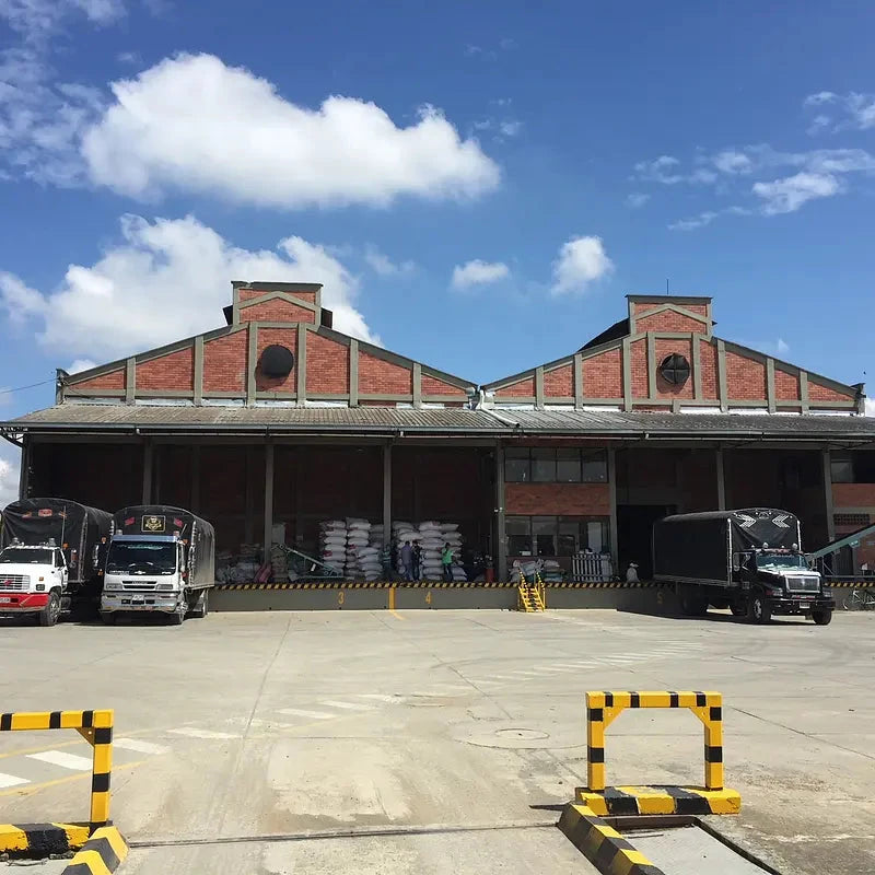 NATURAL DECAF Coffee Chimney Fire Coffee 