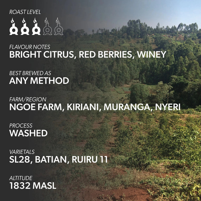 KENYA NGOE AB Coffee Chimney Fire Coffee 