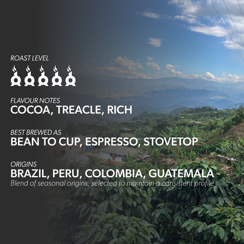 REVIVAL CLASSIC BLEND Coffee Chimney Fire Coffee 